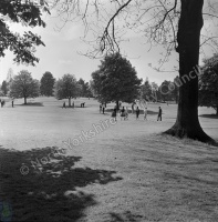 Harrogate, Valley Gardens, Miniature Golf Course